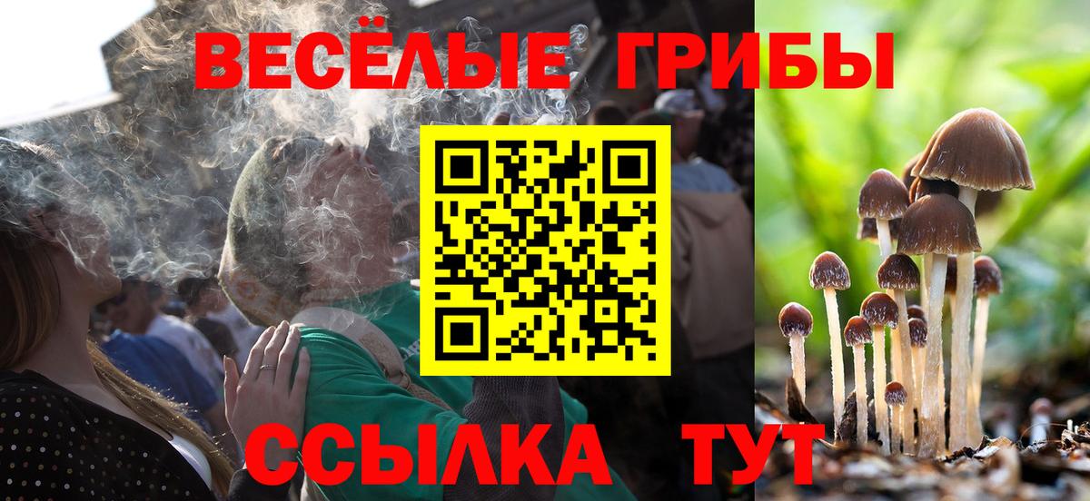 Псилоцибиновые грибы MAGIC MUSHROOMS Советская Гавань
